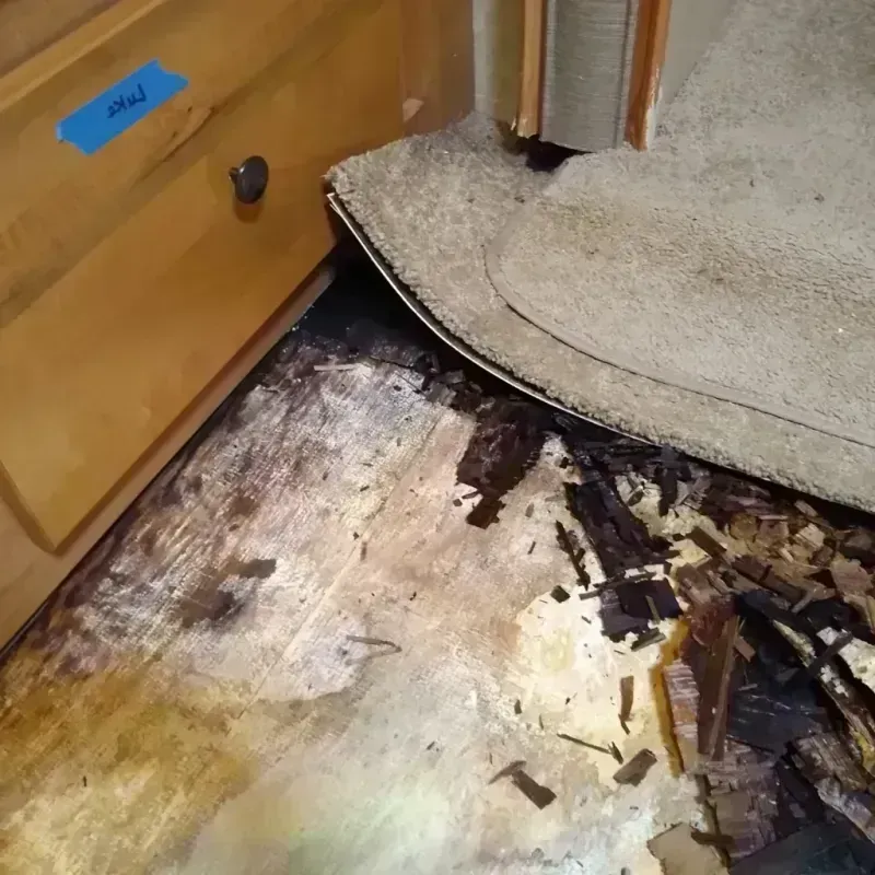 Wood Floor Water Damage in Erie County, NY